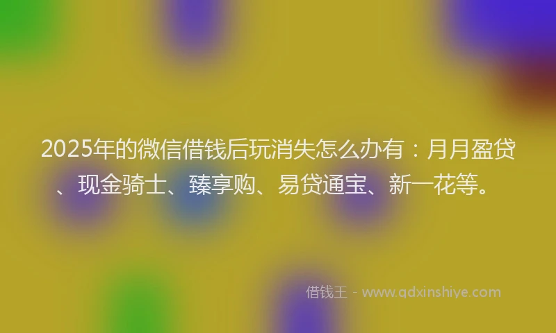 2025年的微信借钱后玩消失怎么办有：月月盈贷、现金骑士、臻享购、易贷通宝、新一花等。