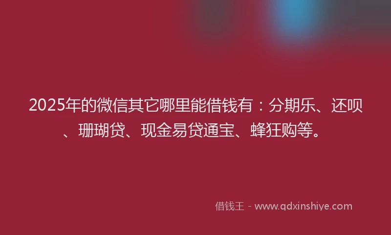 2025年的微信其它哪里能借钱有：分期乐、还呗、珊瑚贷、现金易贷通宝、蜂狂购等。
