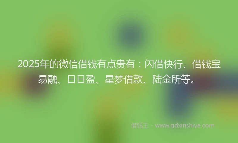 2025年的微信借钱有点贵有：闪借快行、借钱宝易融、日日盈、星梦借款、陆金所等。
