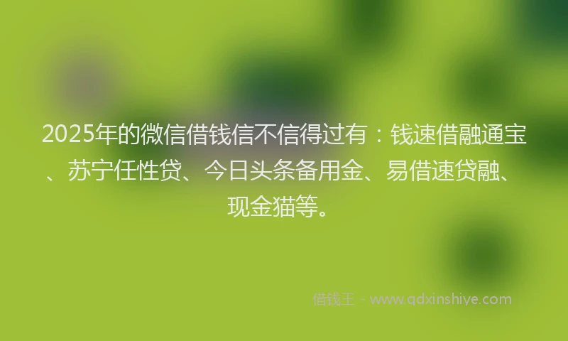 2025年的微信借钱信不信得过有：钱速借融通宝、苏宁任性贷、今日头条备用金、易借速贷融、现金猫等。