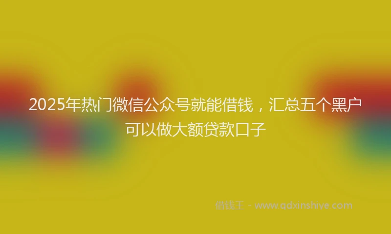 2025年热门微信公众号就能借钱，汇总五个黑户可以做大额贷款口子