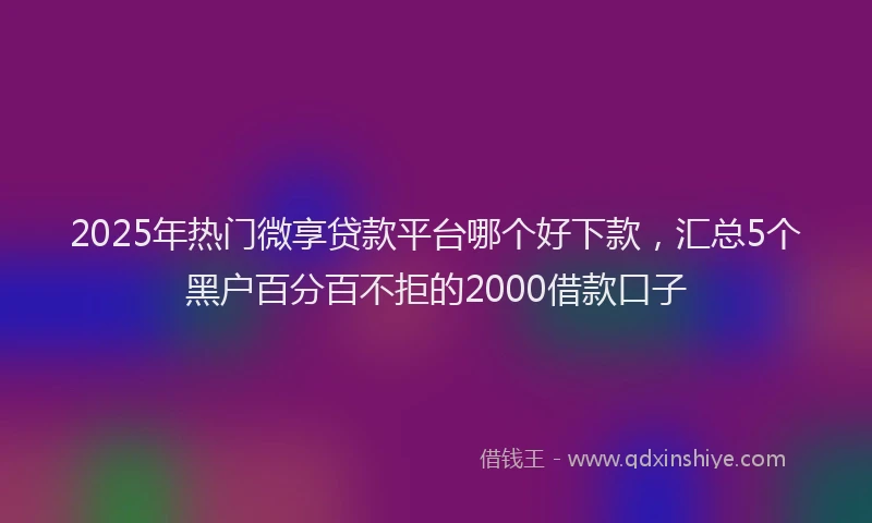 2025年热门微享贷款平台哪个好下款，汇总5个黑户百分百不拒的2000借款口子