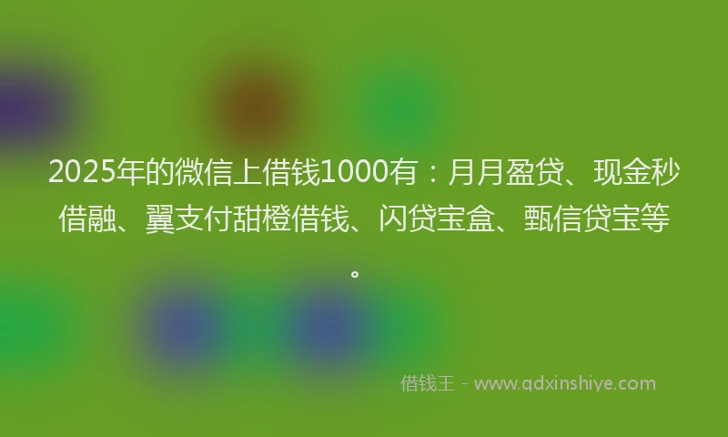 2025年的微信上借钱1000有：月月盈贷、现金秒借融、翼支付甜橙借钱、闪贷宝盒、甄信贷宝等。