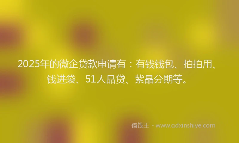 2025年的微企贷款申请有：有钱钱包、拍拍用、钱进袋、51人品贷、紫晶分期等。