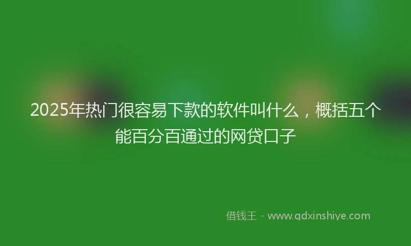 2025年热门很容易下款的软件叫什么，概括五个能百分百通过的网贷口子
