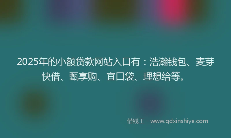 2025年的小额贷款网站入口有：浩瀚钱包、麦芽快借、甄享购、宜口袋、理想给等。