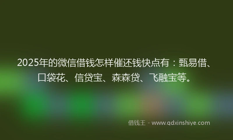 2025年的微信借钱怎样催还钱快点有：甄易借、口袋花、信贷宝、森森贷、飞融宝等。