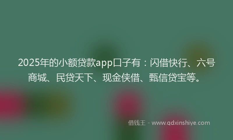 2025年的小额贷款app口子有：闪借快行、六号商城、民贷天下、现金侠借、甄信贷宝等。