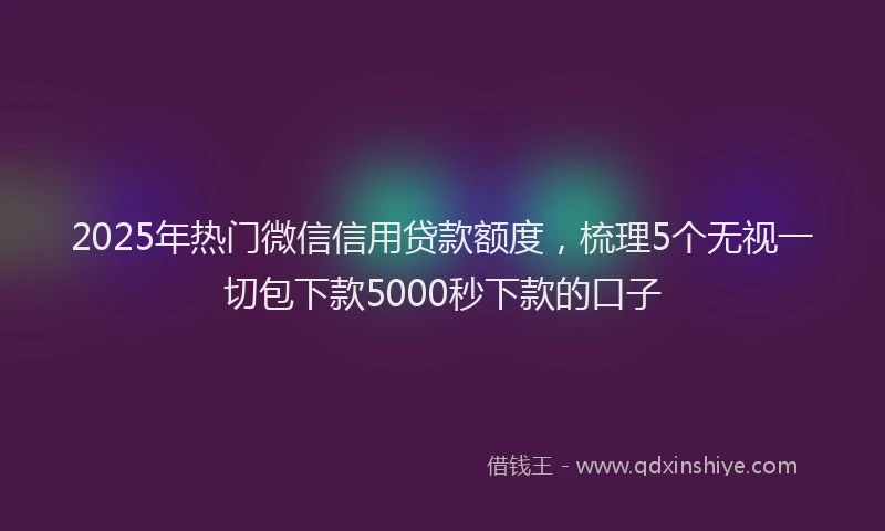 2025年热门微信信用贷款额度，梳理5个无视一切包下款5000秒下款的口子