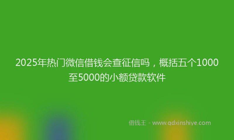 2025年热门微信借钱会查征信吗，概括五个1000至5000的小额贷款软件