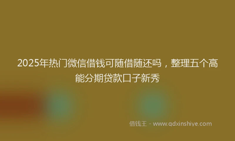 2025年热门微信借钱可随借随还吗,整理五个高能分期贷款口子新秀