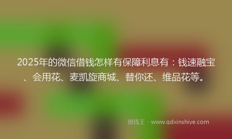 2025年的微信借钱怎样有保障利息有：钱速融宝、会用花、麦凯旋商城、替你还、维品花等。