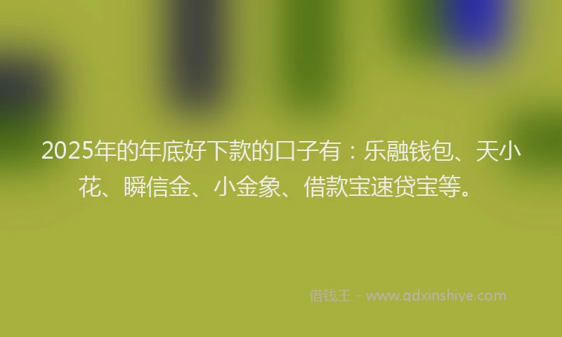 2025年的年底好下款的口子有：乐融钱包、天小花、瞬信金、小金象、借款宝速贷宝等。