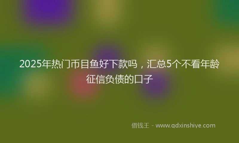 2025年热门币目鱼好下款吗，汇总5个不看年龄征信负债的口子