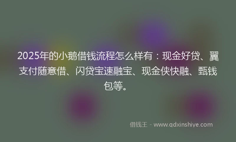 2025年的小鹅借钱流程怎么样有：现金好贷、翼支付随意借、闪贷宝速融宝、现金侠快融、甄钱包等。