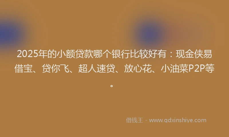 2025年的小额贷款哪个银行比较好有：现金侠易借宝、贷你飞、超人速贷、放心花、小油菜P2P等。