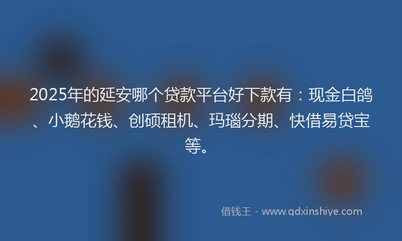 2025年的延安哪个贷款平台好下款有：现金白鸽、小鹅花钱、创硕租机、玛瑙分期、快借易贷宝等。