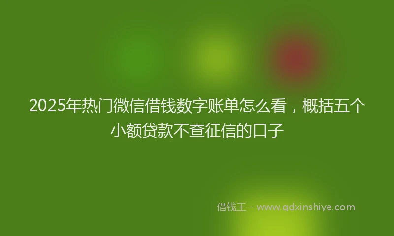 2025年热门微信借钱数字账单怎么看，概括五个小额贷款不查征信的口子