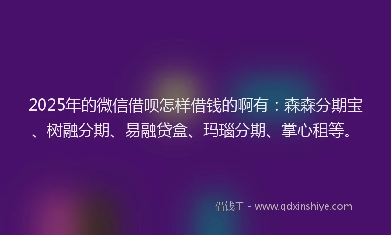 2025年的微信借呗怎样借钱的啊有：森森分期宝、树融分期、易融贷盒、玛瑙分期、掌心租等。
