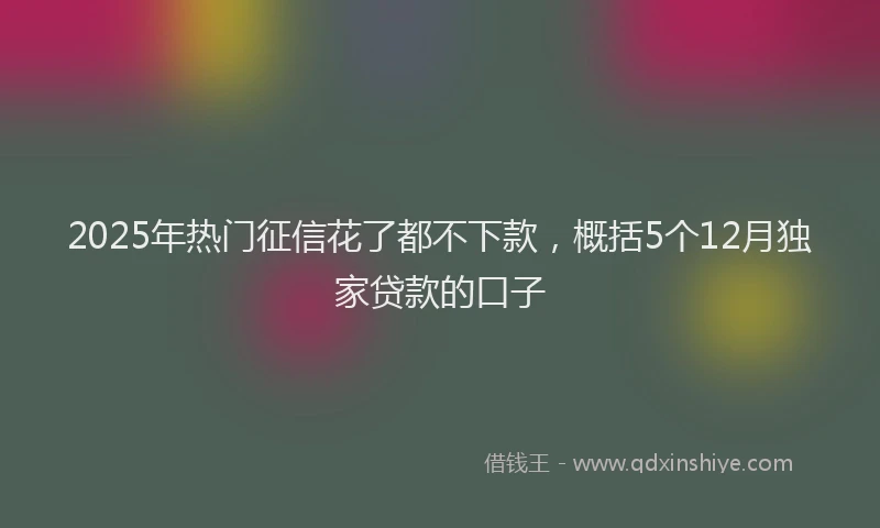 2025年热门征信花了都不下款，概括5个12月独家贷款的口子