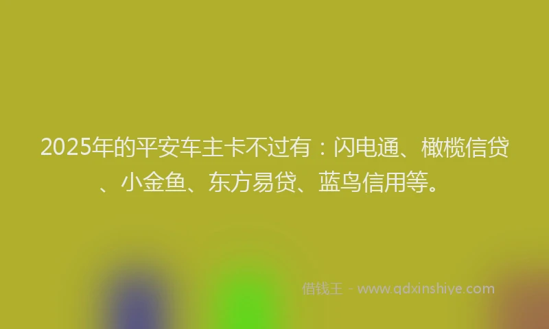 2025年的平安车主卡不过有：闪电通、橄榄信贷、小金鱼、东方易贷、蓝鸟信用等。