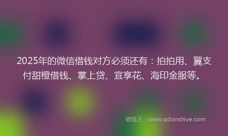 2025年的微信借钱对方必须还有：拍拍用、翼支付甜橙借钱、掌上贷、宜享花、海印金服等。