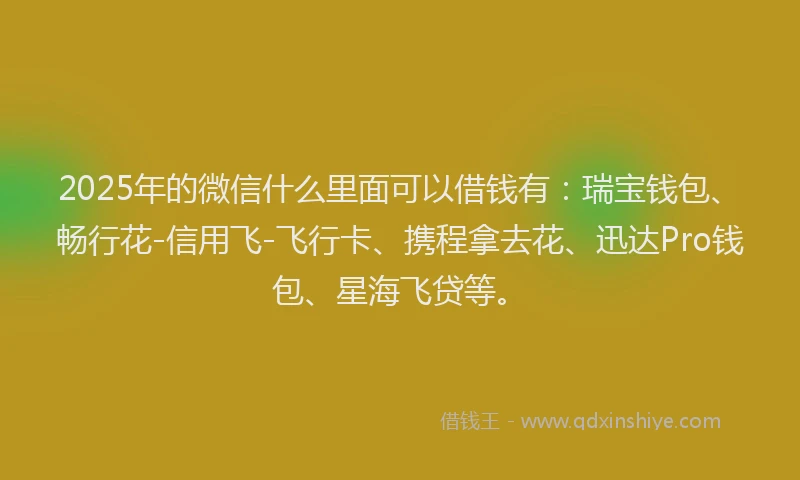 2025年的微信什么里面可以借钱有：瑞宝钱包、畅行花-信用飞-飞行卡、携程拿去花、迅达Pro钱包、星海飞贷等。