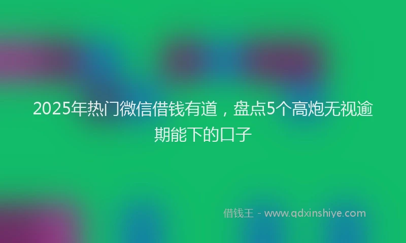 2025年热门微信借钱有道，盘点5个高炮无视逾期能下的口子