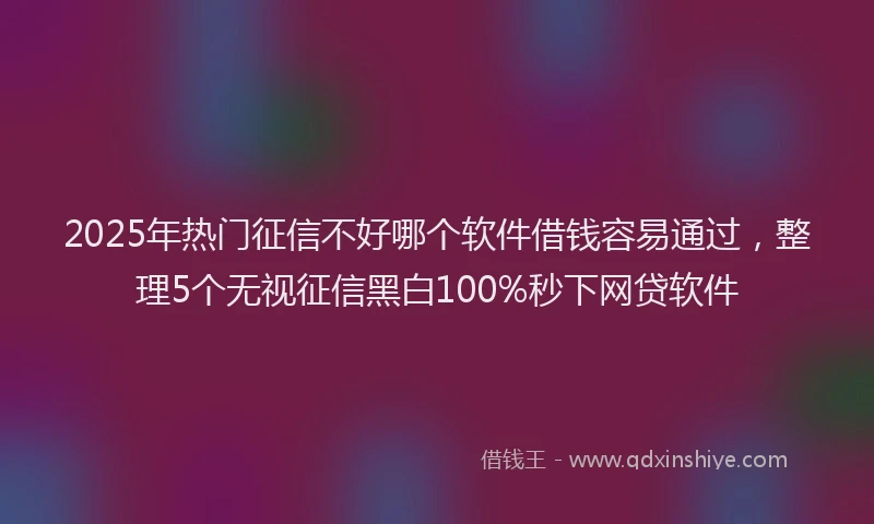 2025年热门征信不好哪个软件借钱容易通过，整理5个无视征信黑白100%秒下网贷软件