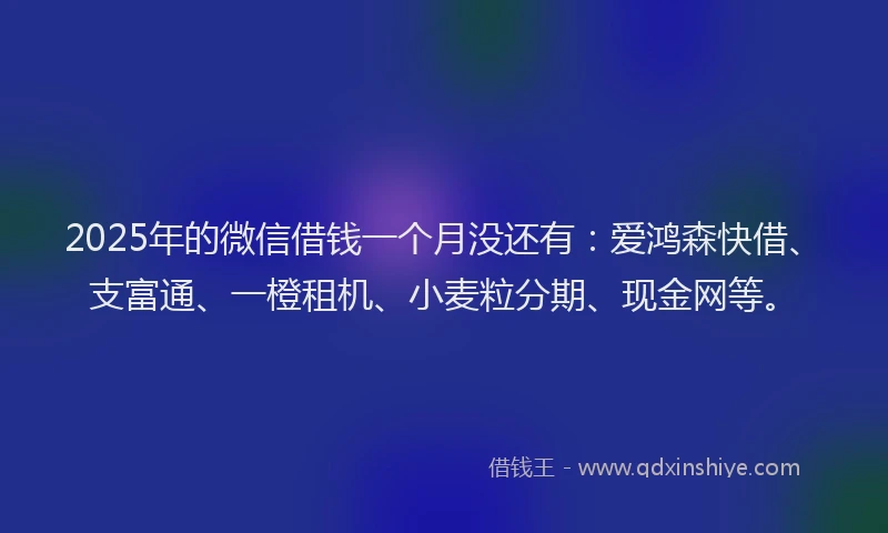 2025年的微信借钱一个月没还有：爱鸿森快借、支富通、一橙租机、小麦粒分期、现金网等。