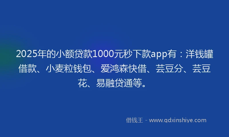 2025年的小额贷款1000元秒下款app有：洋钱罐借款、小麦粒钱包、爱鸿森快借、芸豆分、芸豆花、易融贷通等。