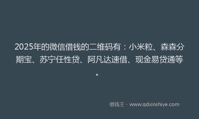 2025年的微信借钱的二维码有:小米粒、森森分期宝、苏宁任性贷、阿凡达速借、现金易贷通等。