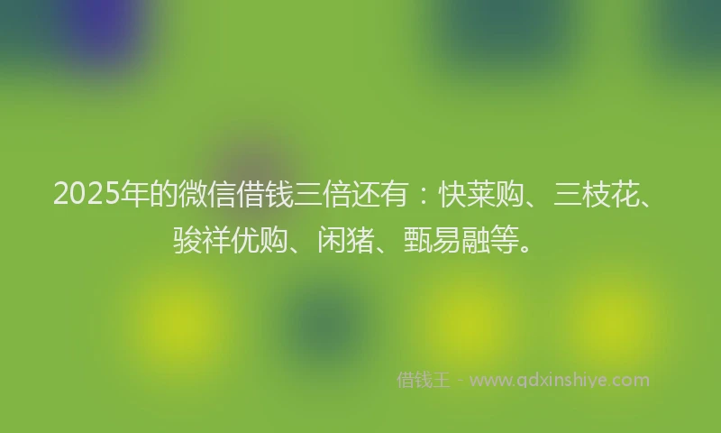 2025年的微信借钱三倍还有：快莱购、三枝花、骏祥优购、闲猪、甄易融等。