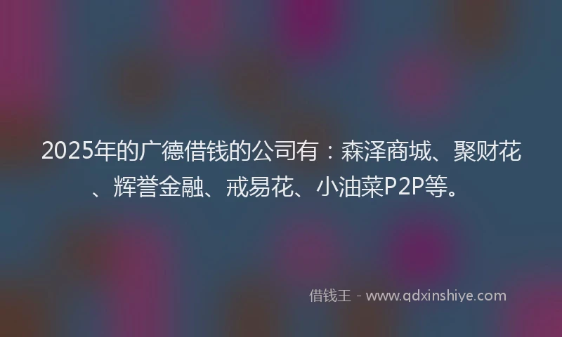 2025年的广德借钱的公司有：森泽商城、聚财花、辉誉金融、戒易花、小油菜P2P等。