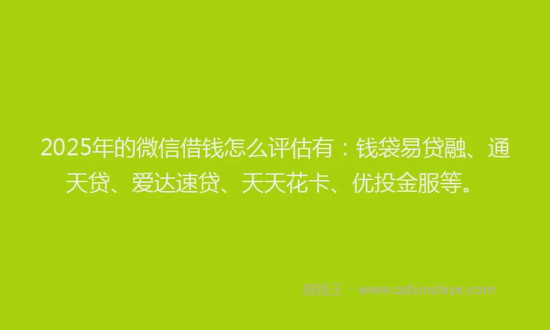 2025年的微信借钱怎么评估有:钱袋易贷融、通天贷、爱达速贷、天天花卡、优投金服等。