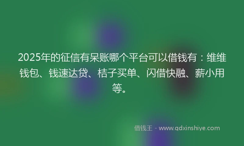 2025年的征信有呆账哪个平台可以借钱有：维维钱包、钱速达贷、桔子买单、闪借快融、薪小用等。