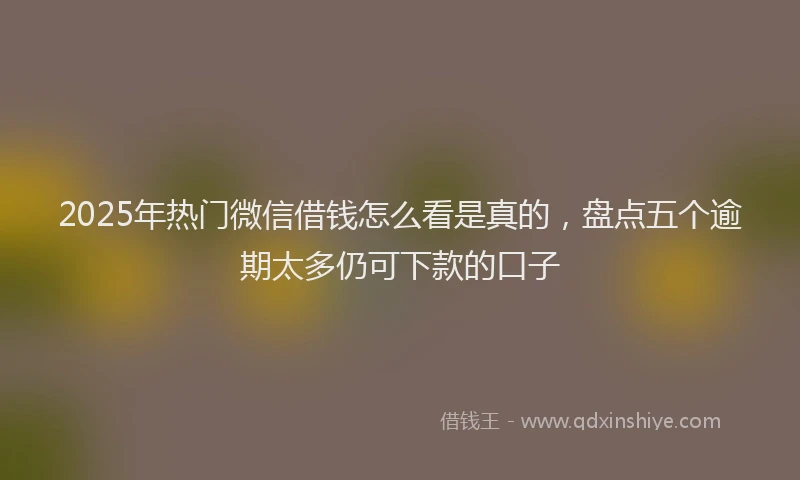 2025年热门微信借钱怎么看是真的，盘点五个逾期太多仍可下款的口子