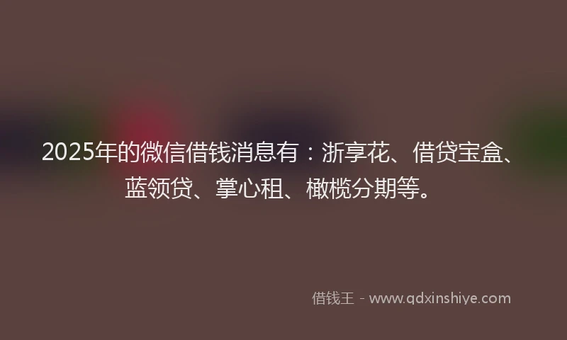 2025年的微信借钱消息有：浙享花、借贷宝盒、蓝领贷、掌心租、橄榄分期等。
