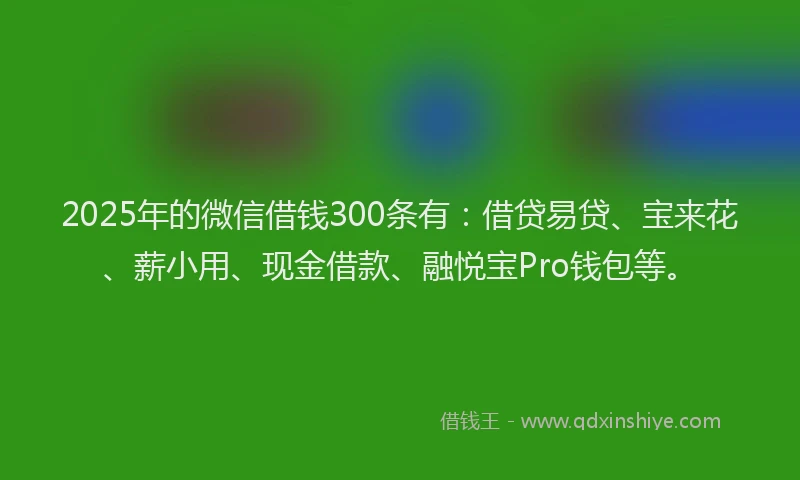 2025年的微信借钱300条有:借贷易贷、宝来花、薪小用、现金借款、融悦宝Pro钱包等。