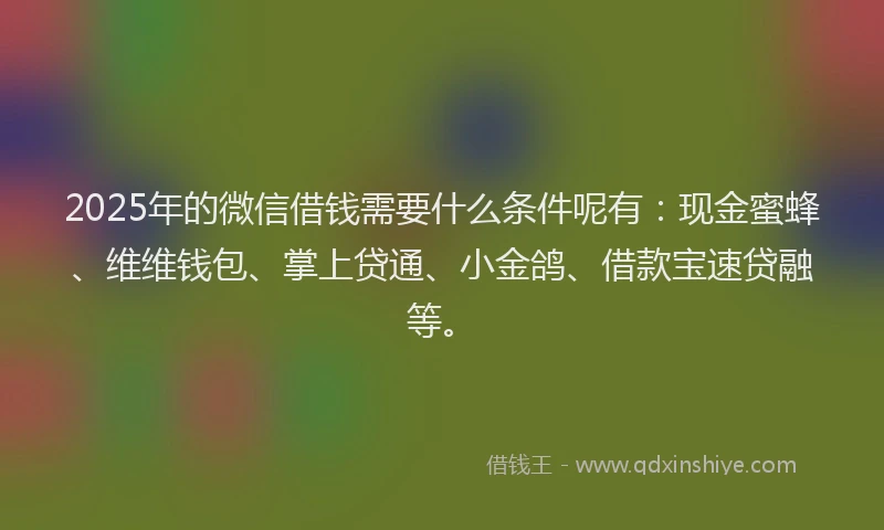 2025年的微信借钱需要什么条件呢有：现金蜜蜂、维维钱包、掌上贷通、小金鸽、借款宝速贷融等。