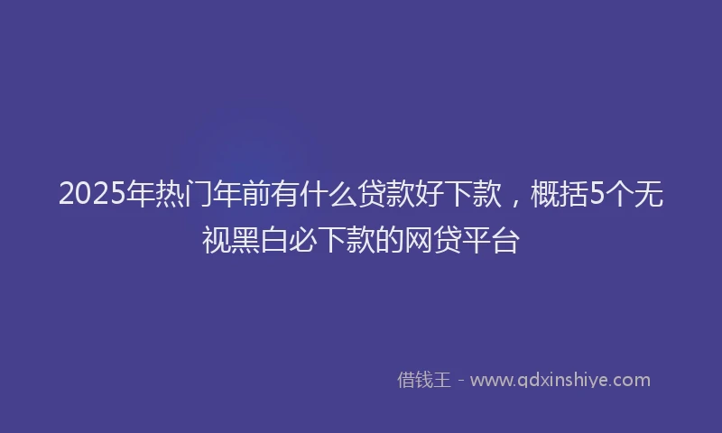 2025年热门年前有什么贷款好下款，概括5个无视黑白必下款的网贷平台