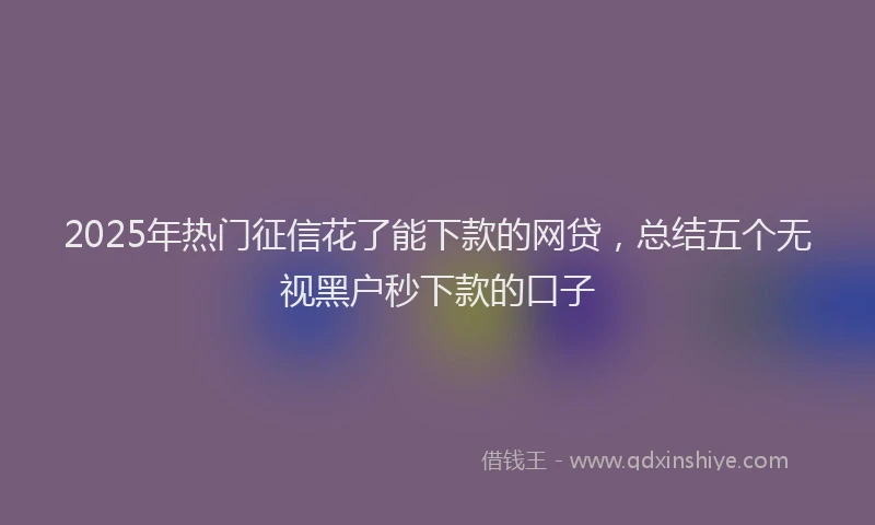 2025年热门征信花了能下款的网贷，总结五个无视黑户秒下款的口子