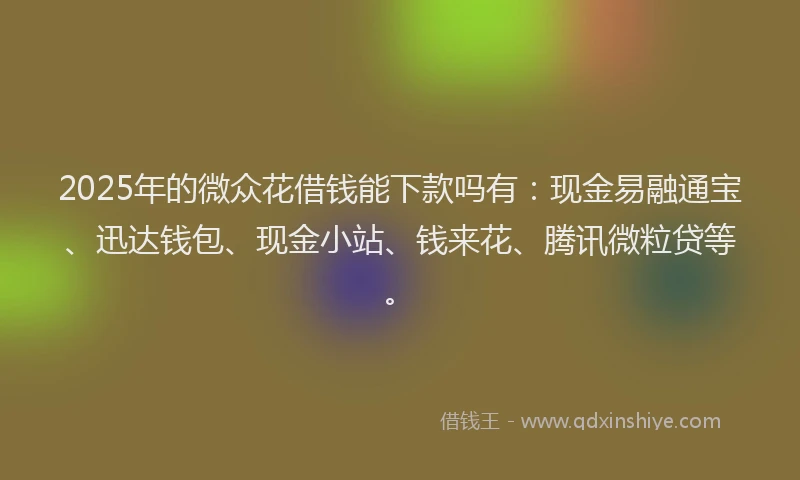 2025年的微众花借钱能下款吗有：现金易融通宝、迅达钱包、现金小站、钱来花、腾讯微粒贷等。