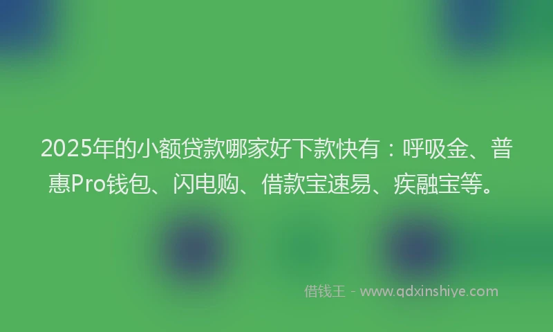 2025年的小额贷款哪家好下款快有:呼吸金、普惠Pro钱包、闪电购、借款宝速易、疾融宝等。