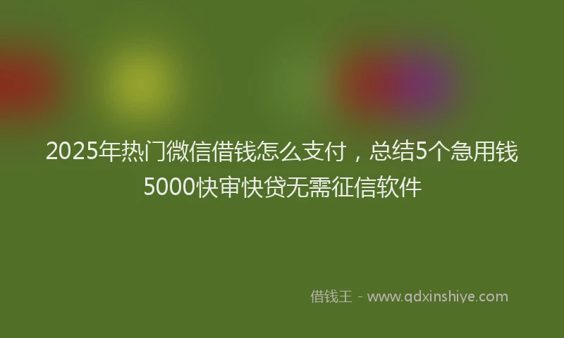 2025年热门微信借钱怎么支付，总结5个急用钱5000快审快贷无需征信软件