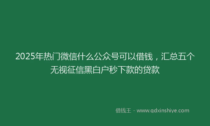2025年热门微信什么公众号可以借钱,汇总五个无视征信黑白户秒下款的贷款