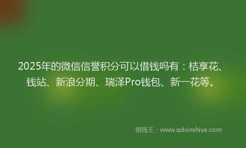 2025年的微信信誉积分可以借钱吗有：桔享花、钱站、新浪分期、瑞泽Pro钱包、新一花等。
