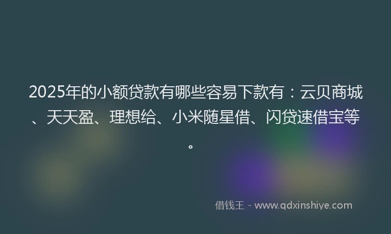 2025年的小额贷款有哪些容易下款有：云贝商城、天天盈、理想给、小米随星借、闪贷速借宝等。