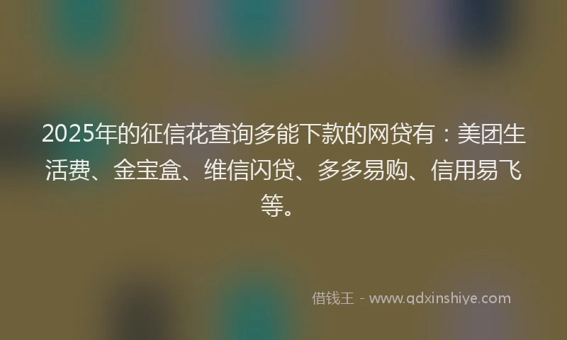 2025年的征信花查询多能下款的网贷有：美团生活费、金宝盒、维信闪贷、多多易购、信用易飞等。