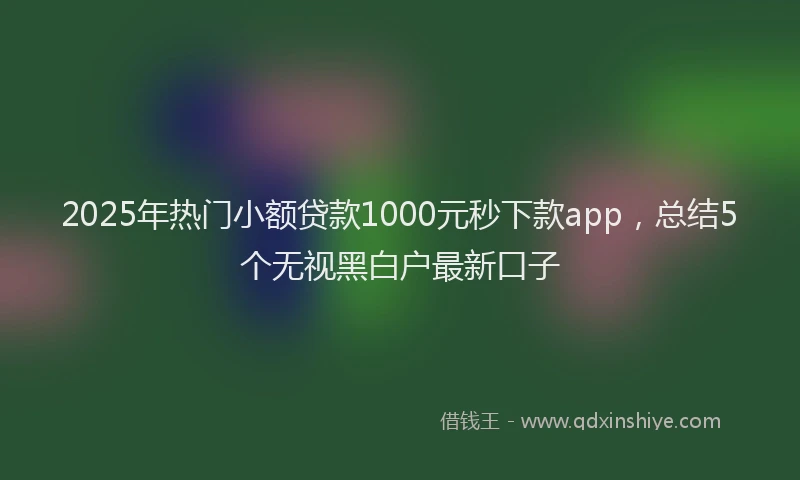 2025年热门小额贷款1000元秒下款app，总结5个无视黑白户最新口子
